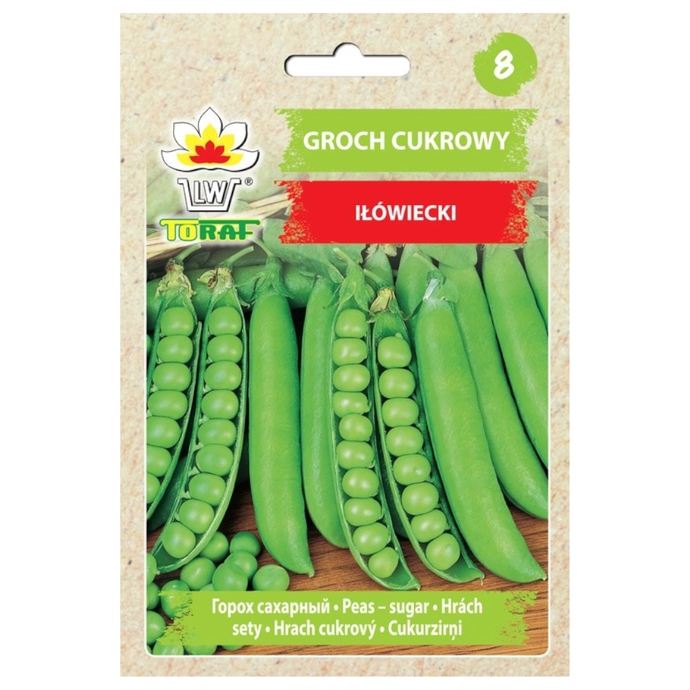 Groch cukrowy Iłówiecki nasiona 50g - TORAF