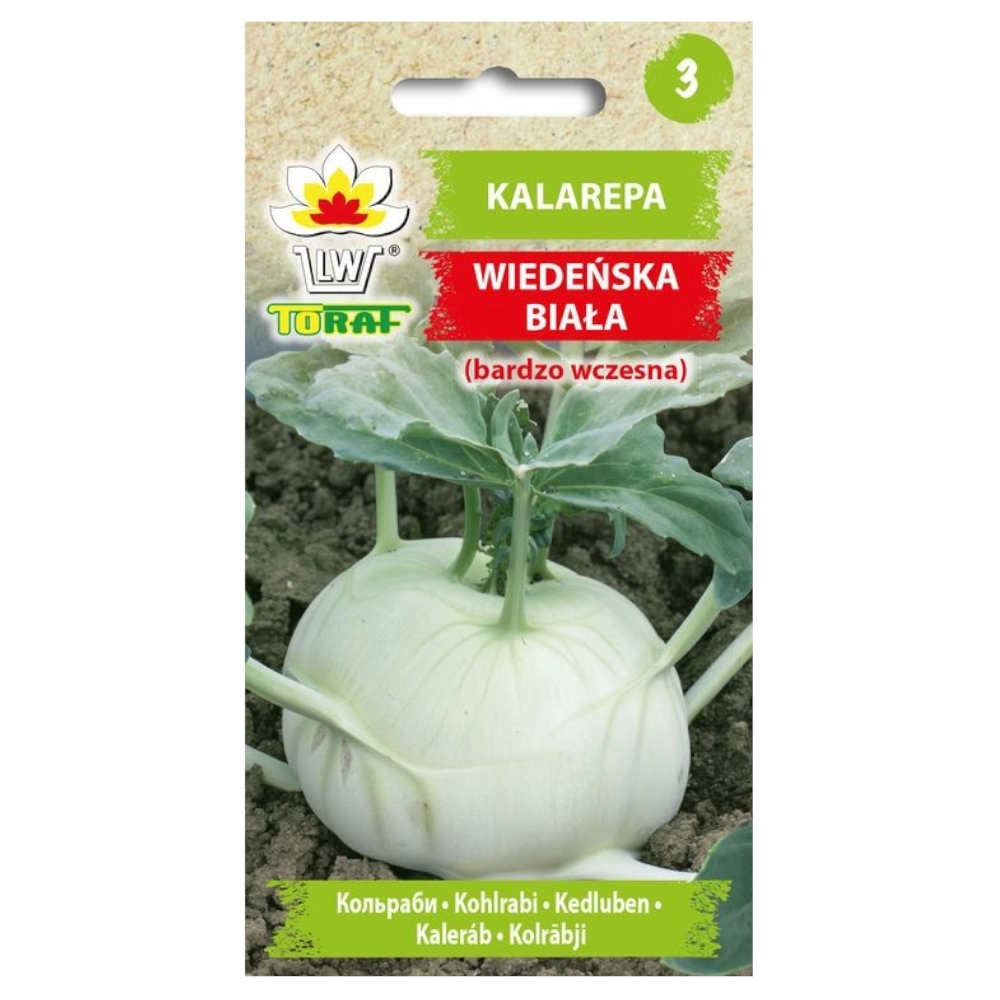 10811.webp Kalarepa Wiedeńska Biała nasiona 2g - TORAF