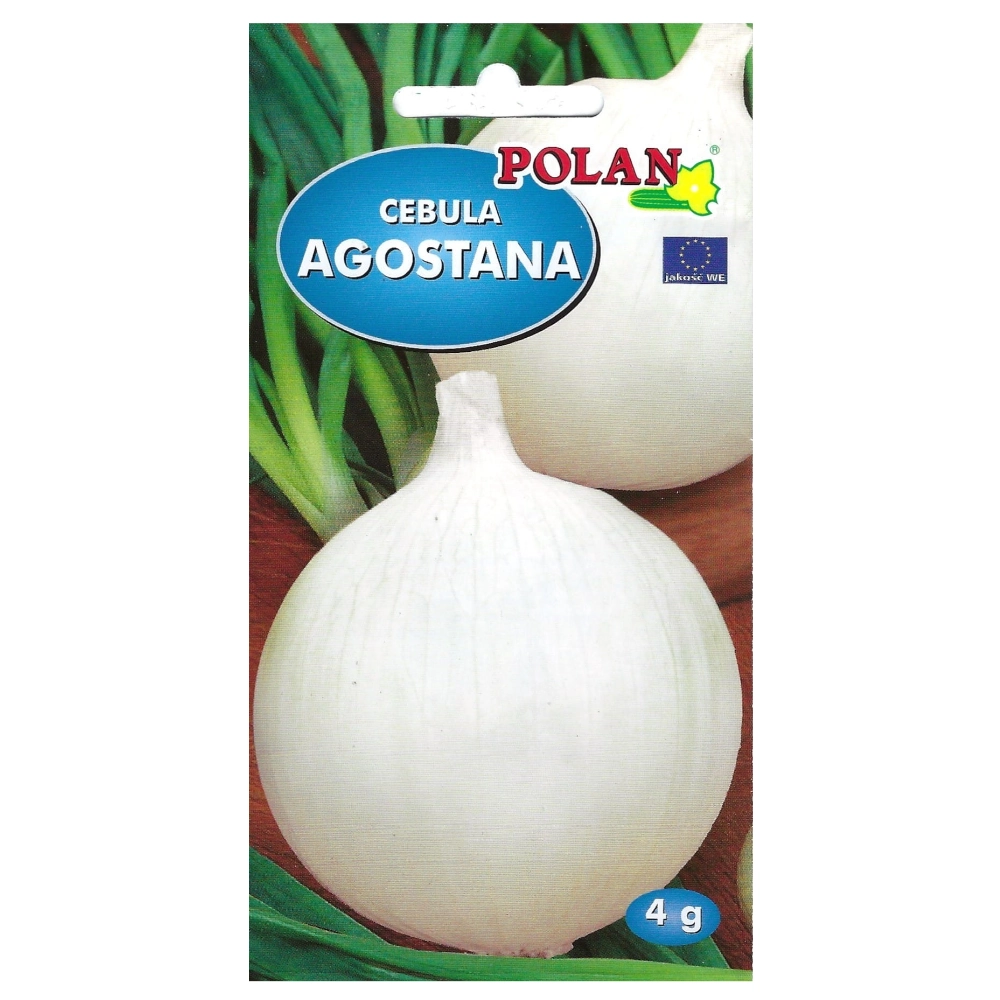 Cebula Agostana nasiona 4g - POLAN