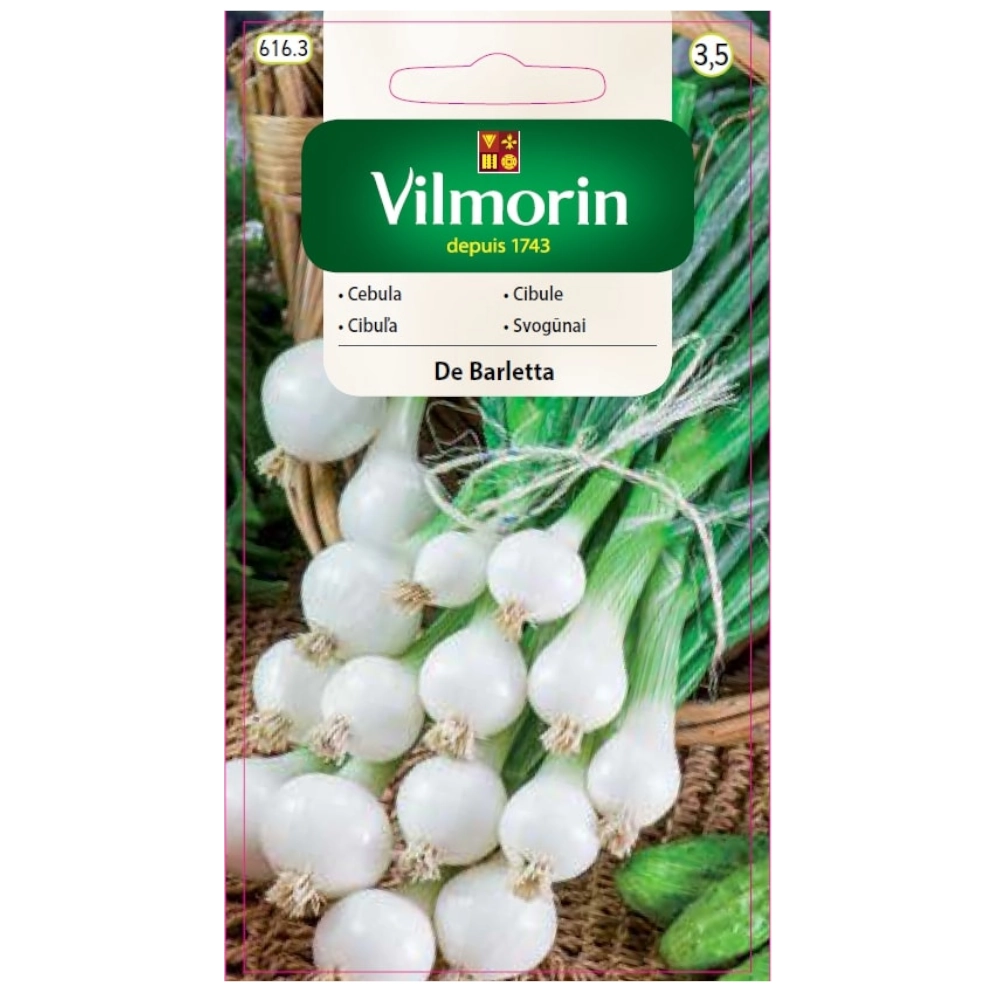 11015.webp Cebula biała De Barletta nasiona 2g - VILMORIN