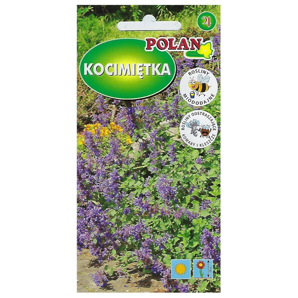 11124.webp Kocimiętka Mussini nasiona 0,2g - POLAN