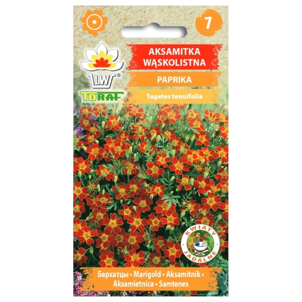 11140.webp Aksamitka wąskolistna Paprika nasiona 0,5g - TORAF