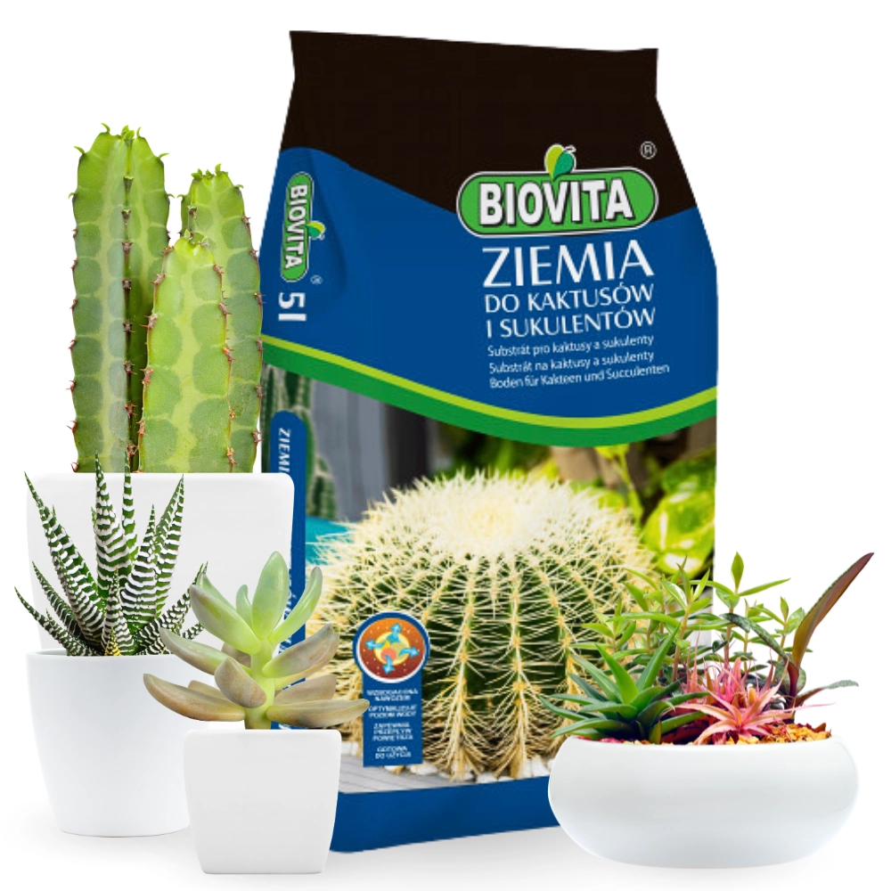 Ziemia do kaktusów i sukulentów 5L - Biovita