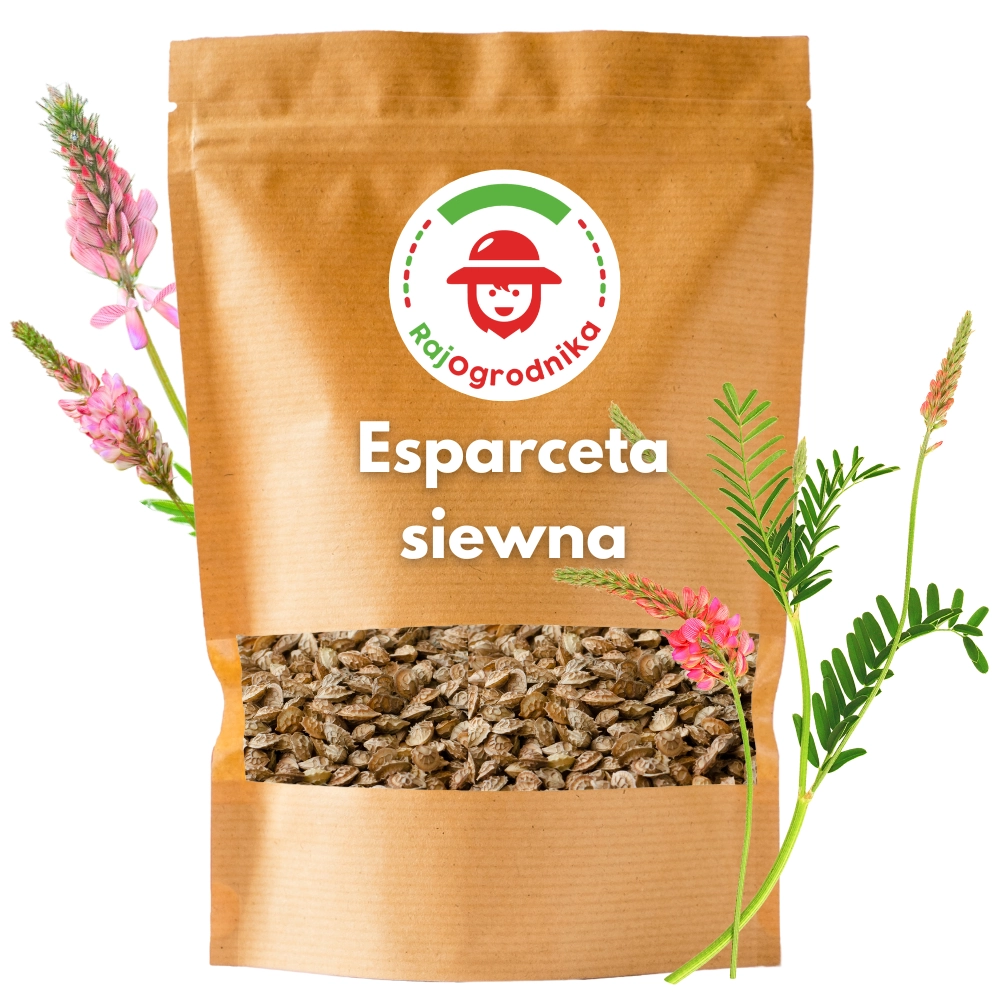11481.webp Esparceta siewna nasiona 1kg - REDUM