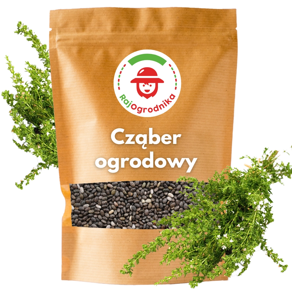 Cząber ogrodowy nasiona 100g - REDUM