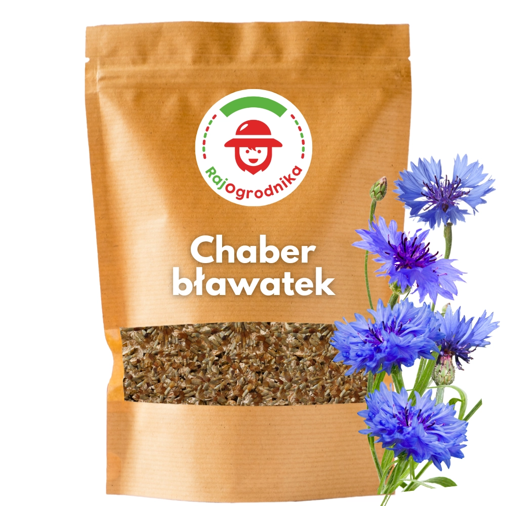 Chaber bławatek roślina miododajna ekoschematy nasiona 500g