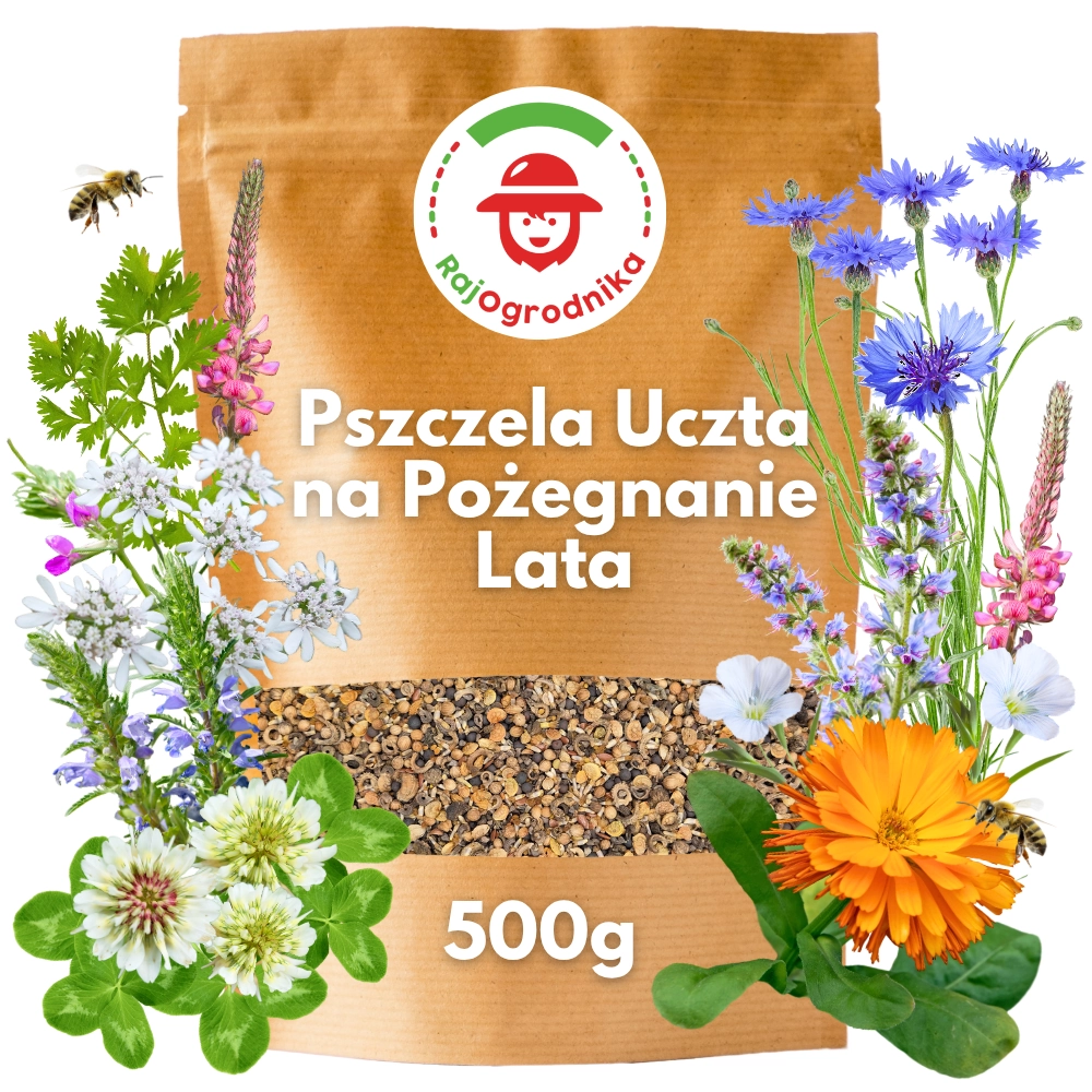 Mieszanka miododajna letnio-jesienna - długi pożytek dla pszczół nasiona 500g - REDUM