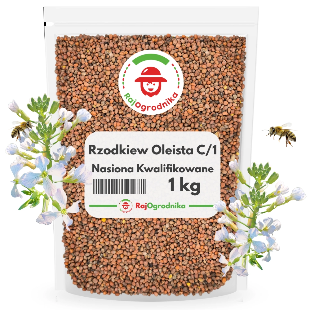 11809.webp Rzodkiew oleista C/1 1 nasiona na poplon SZYBKO ROŚNIE 1 KG