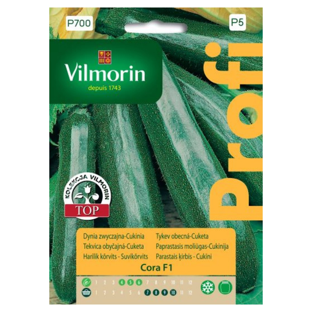12687.webp Dynia Zwyczajna Cora F1 cukinia nasiona 2 g - VILMORIN