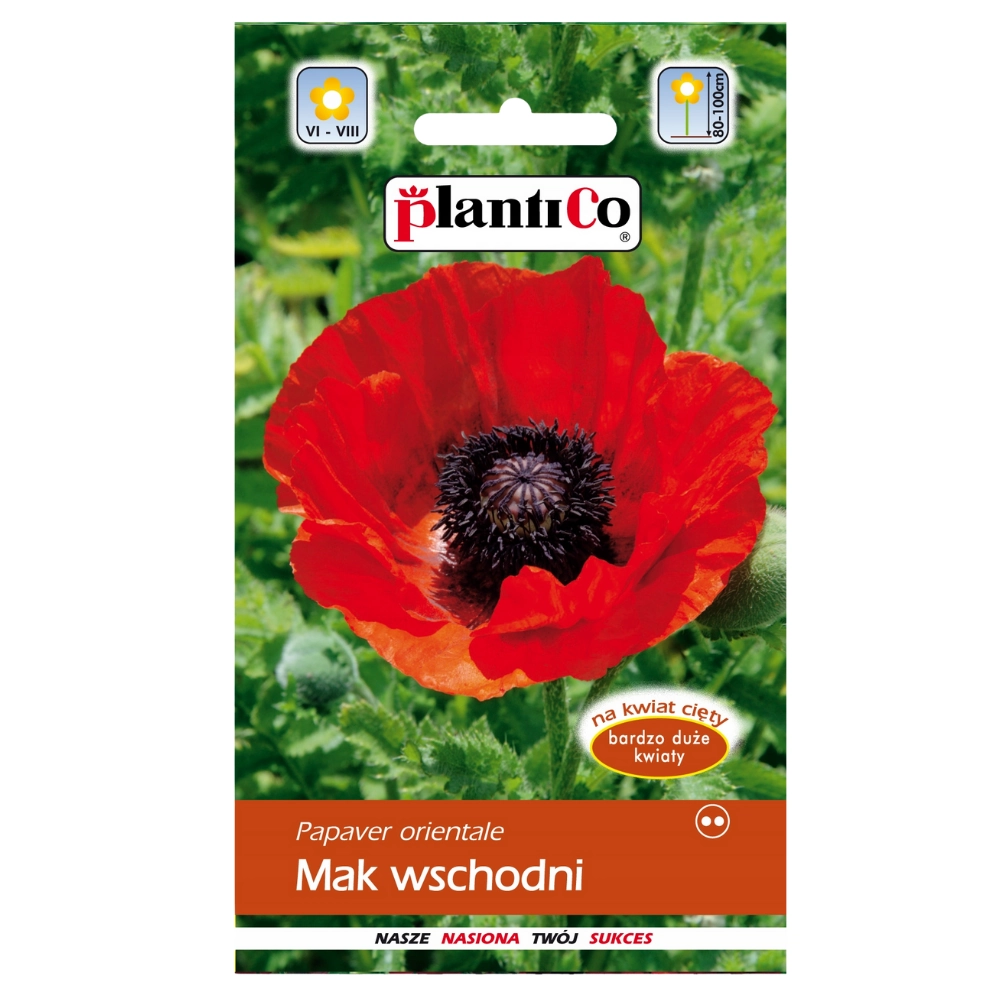 12952.webp Mak wschodni nasiona 0,5g - PlantiCo