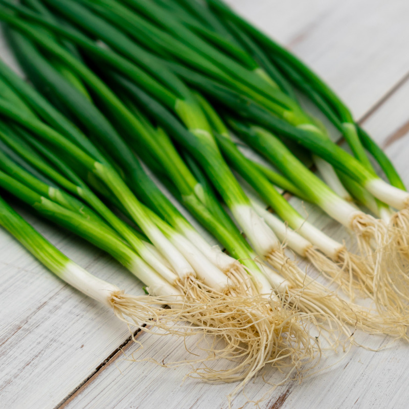 A bunch of green onions on a light wooden background. Cebula siedmiolatka szczypior Bajkal mrozoodporna 3g - TORAF