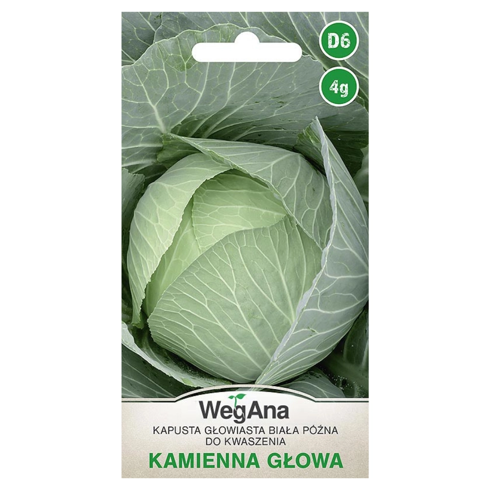 Kapusta Kamienna Głowa nasiona 3g - WegAna