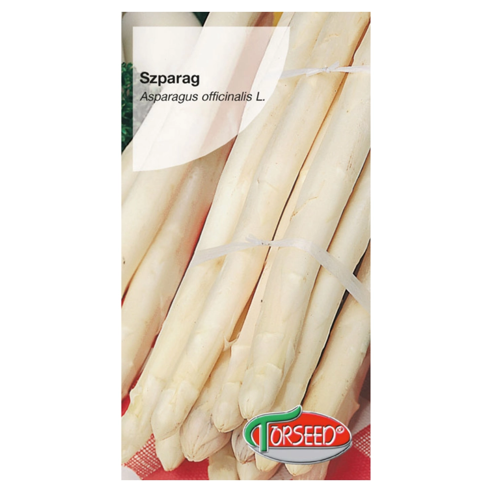 13321.webp Szparag Argenteuil nasiona 1g - TORSEED