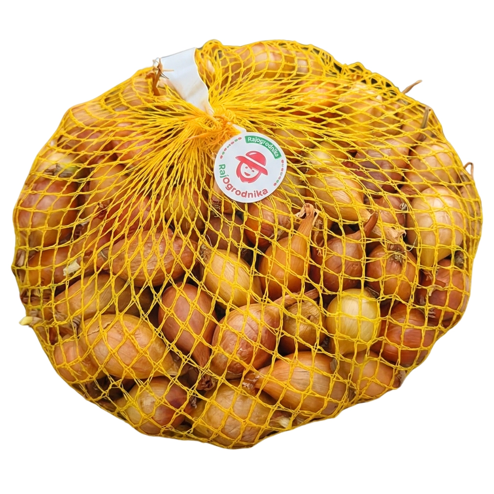 Cebula Dymka Wolska DROBNA do sadzenia 500g Wiosenna 10-15 mm II ŻÓŁTA