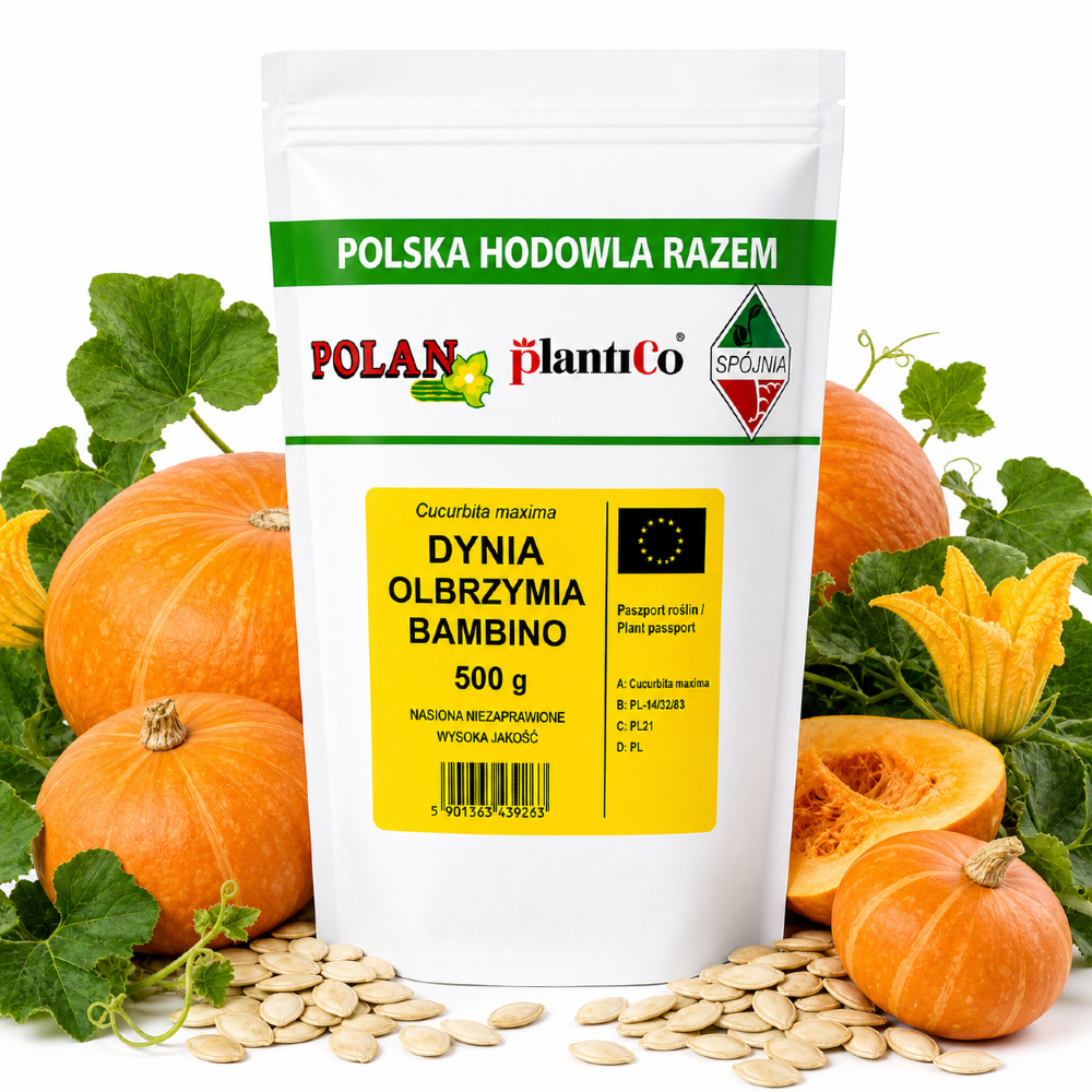 Dynia olbrzymia Bambino nasiona 500g - PlantiCo