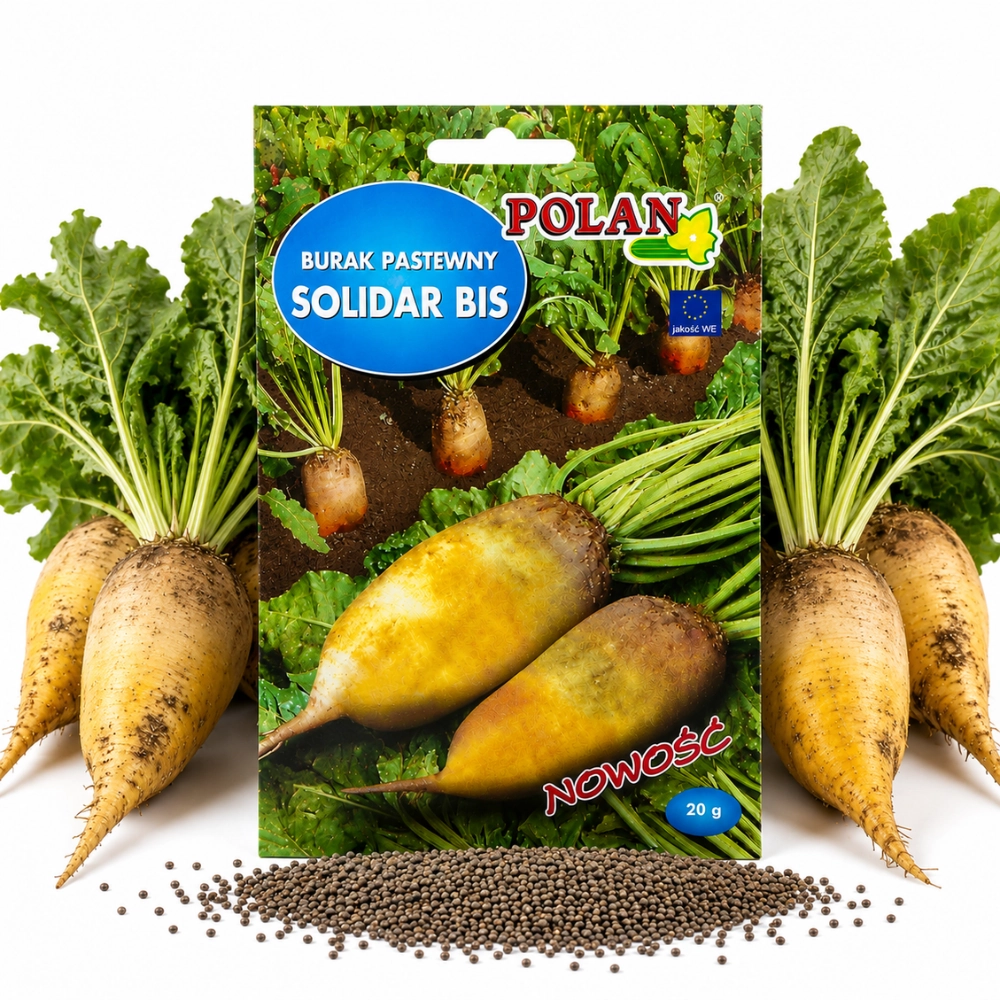 14539.webp Burak pastewny Solidar Bis nasiona 20g - POLAN