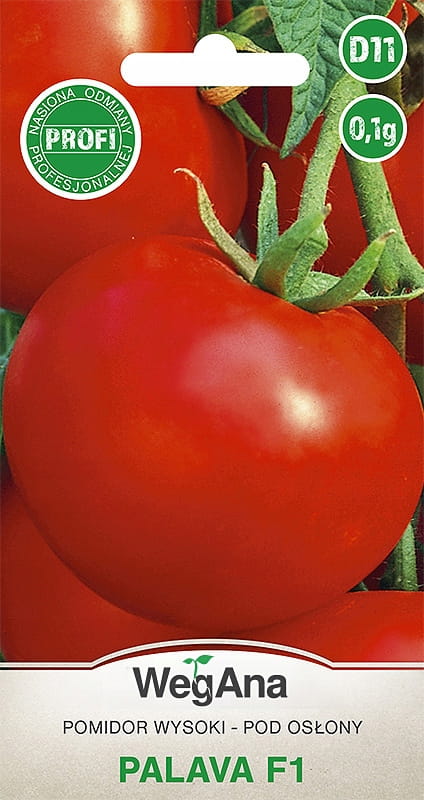 Pomidor Palava F1 0,1g - WegAna
