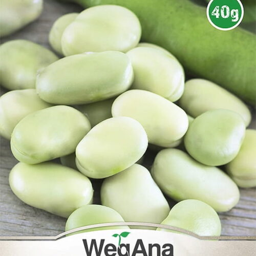 Bob Bartom 40g - WegAna