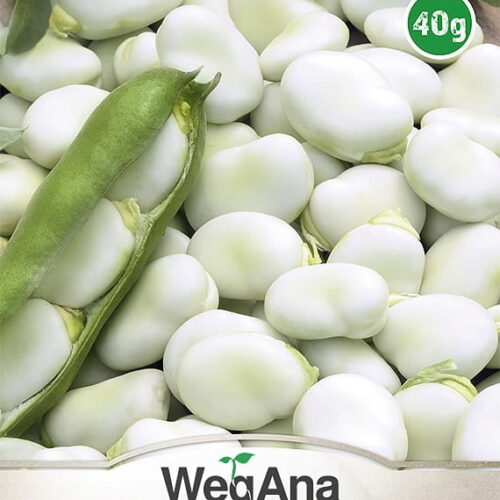 1526.jpg Bob Windsor Bialy 40g - WegAna
