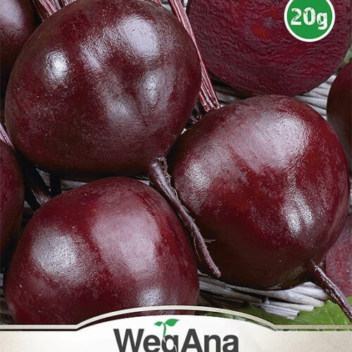 Burak cwiklowy Okragly Ciemnoczerwony 20g - WegAna