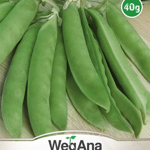 Groch siewny cukrowy wczesny Ambrosia 30g - WegAna