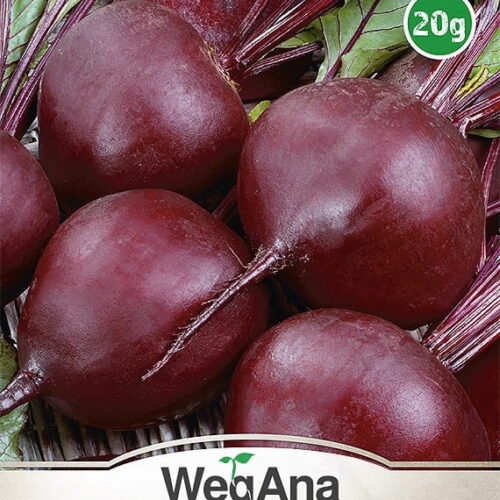 Burak cwiklowy Czerwona Kula 2 nasiona 20g - WegAna