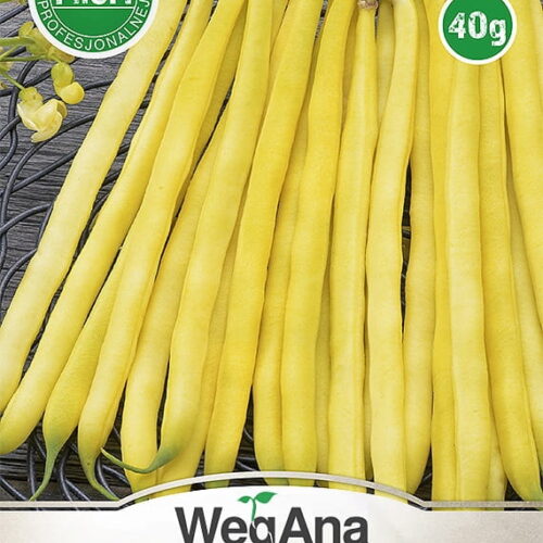 Fasola zwykła karłowa wczesna Sonesta 40g - WegAna