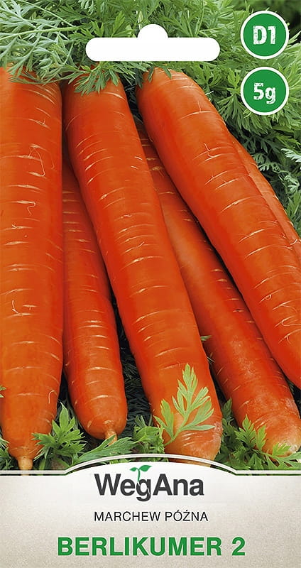 Marchew późna Berlikumer 2 5g - WegAna