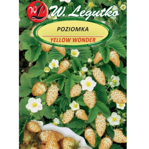 Poziomka Yellow Wonder nasiona 0.1g - W. Legutko