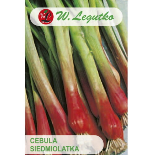 Cebula Siedmiolatka Red Toga nasiona 2g - W. Legutko