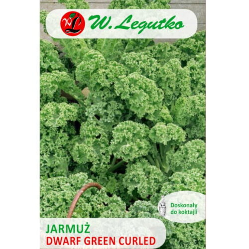 Jarmuż Dwarf Green Curled nasiona 1g - W. Legutko