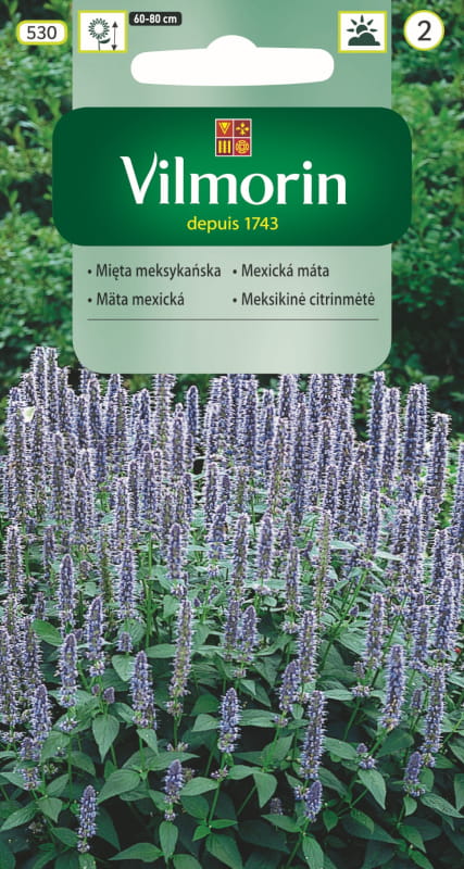 Mięta Meksykańska 0,1g - VILMORIN