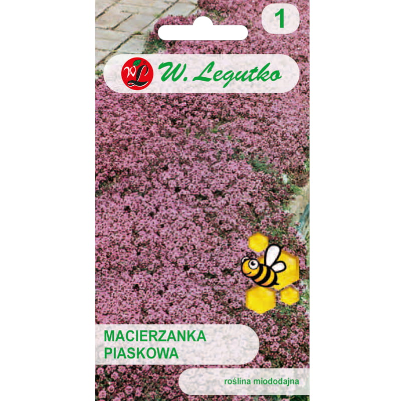 3462.jpg Macierzanka piaskowa lilaróżowa nasiona 0,1g - W. Legutko