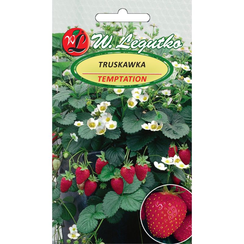Truskawka Temptation nasiona 0,03g - W. Legutko