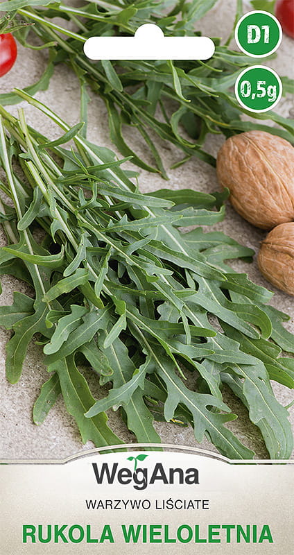 Rukola Diplotaxis erucoides - wieloletnia 0,5g - WegAna