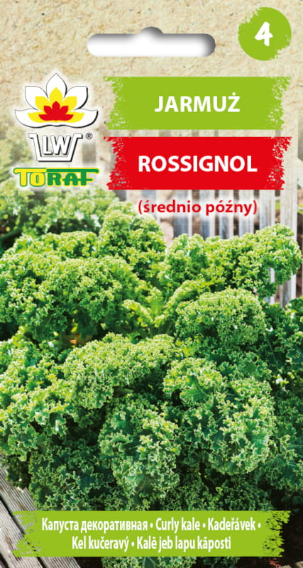 Jarmuż Rossignol nasiona 1g - TORAF