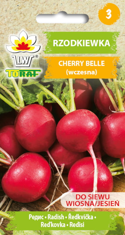 Rzodkiewka Cherry Belle nasiona 10g - TORAF