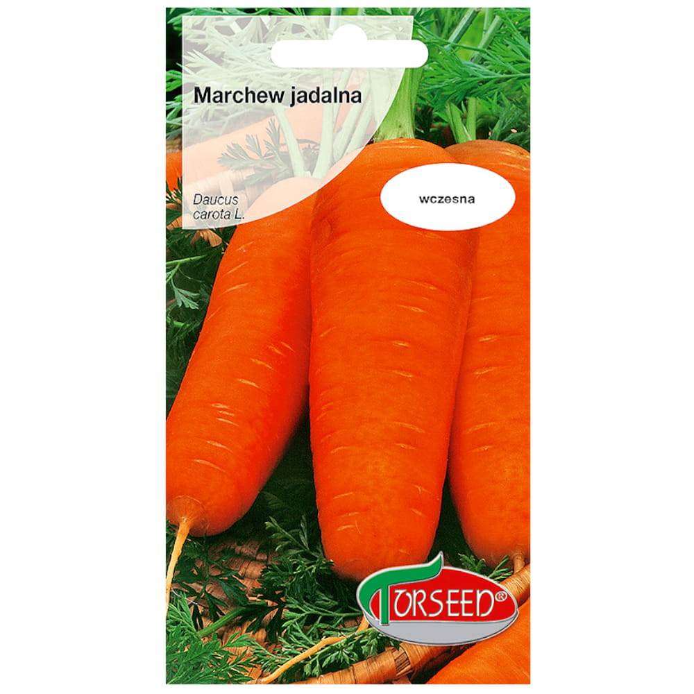 3985.jpg Marchew Chantenay nasiona 5g - TORSEED