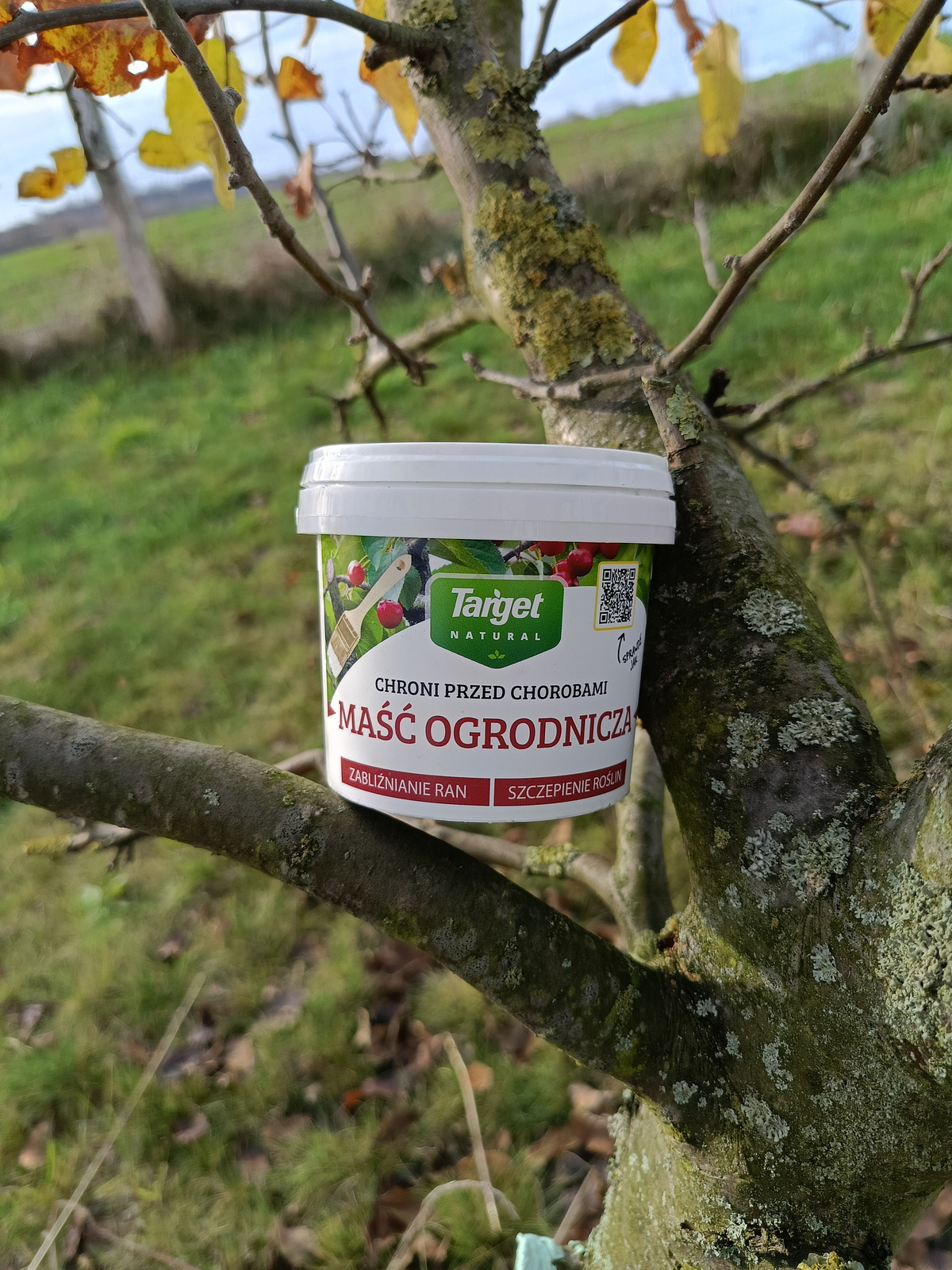 Maść Ogrodnicza – 350 g Target