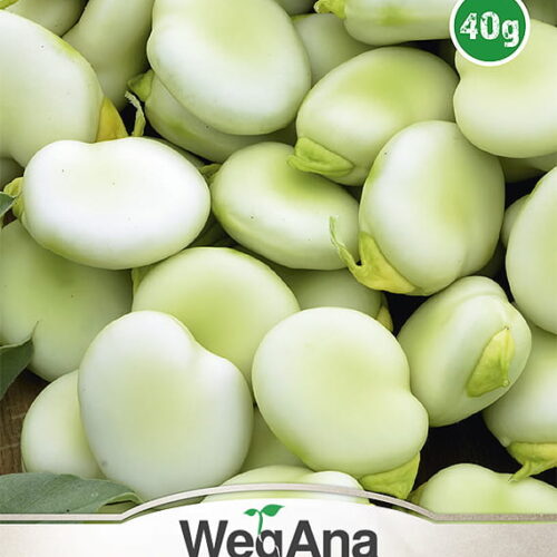 Bób Bachus 40g - WegAna