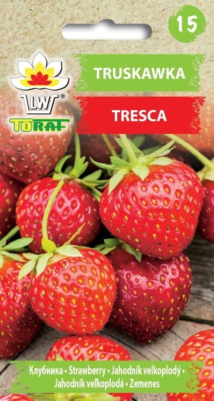 Truskawka Tresca nasiona 20 szt. - TORAF