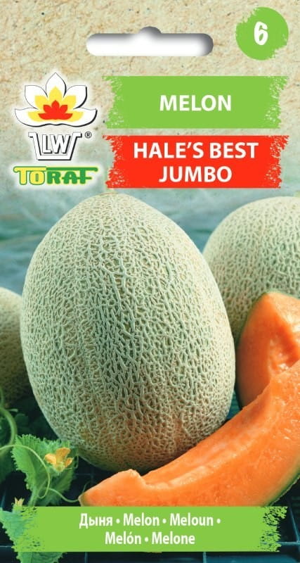4491.jpg Melon Hale’s best Jumbo nasiona 1g - TORAF