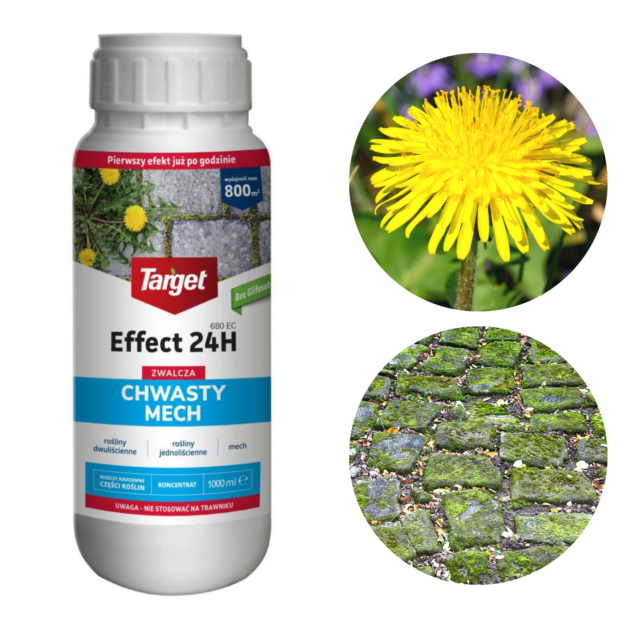 4607.png Effect 24H 680 EC oprysk zwalcza chwasty i mech 1000ml - Target