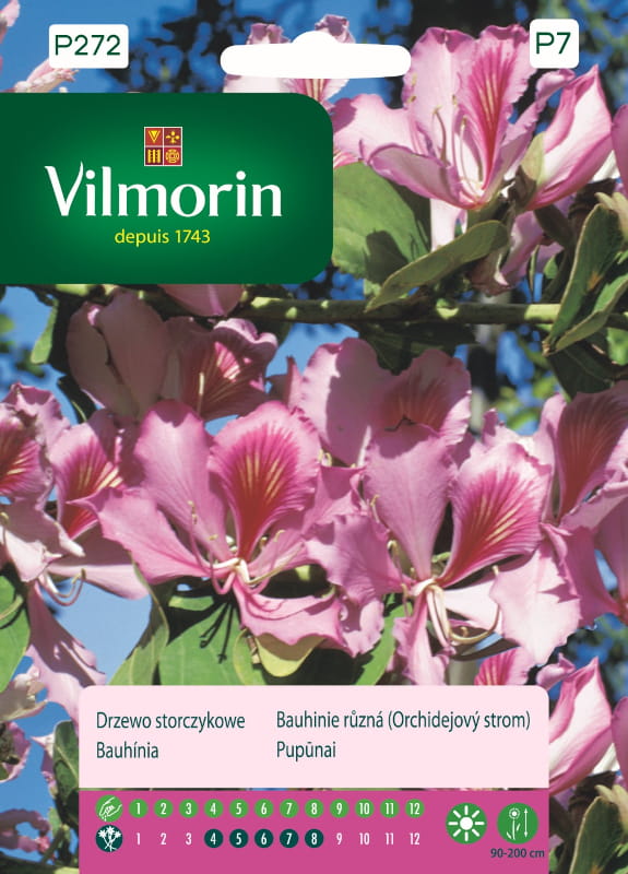Drzewo Storczykowe nasiona 6g - VILMORIN