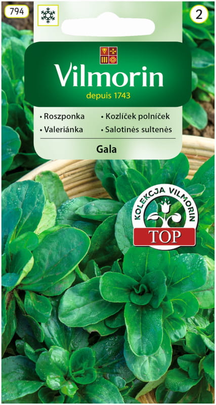 Roszponka Gala nasiona 0,5g - VILMORIN