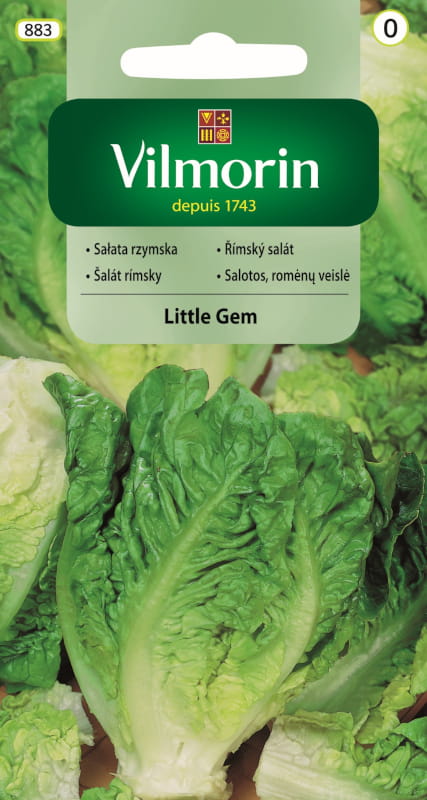 Sałata rzymska, bardzo wczesna Little Gem nasiona 0,5g - VILMORIN