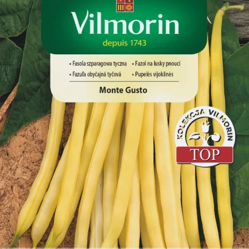 Fasola szparagowa tyczna Monte Gusto nasiona 10g - VILMORIN