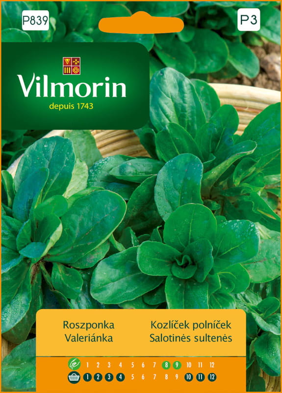 Roszponka Vit nasiona 0,5g - VILMORIN