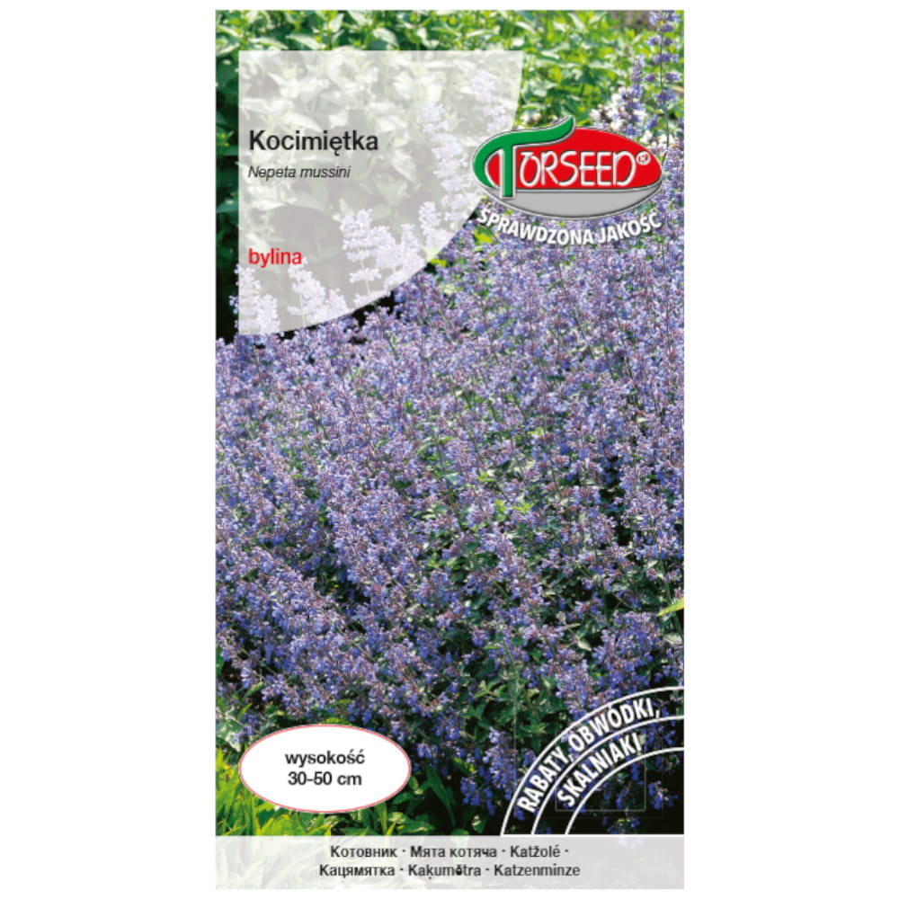 Kocimiętka nasiona 0,5g - TORSEED