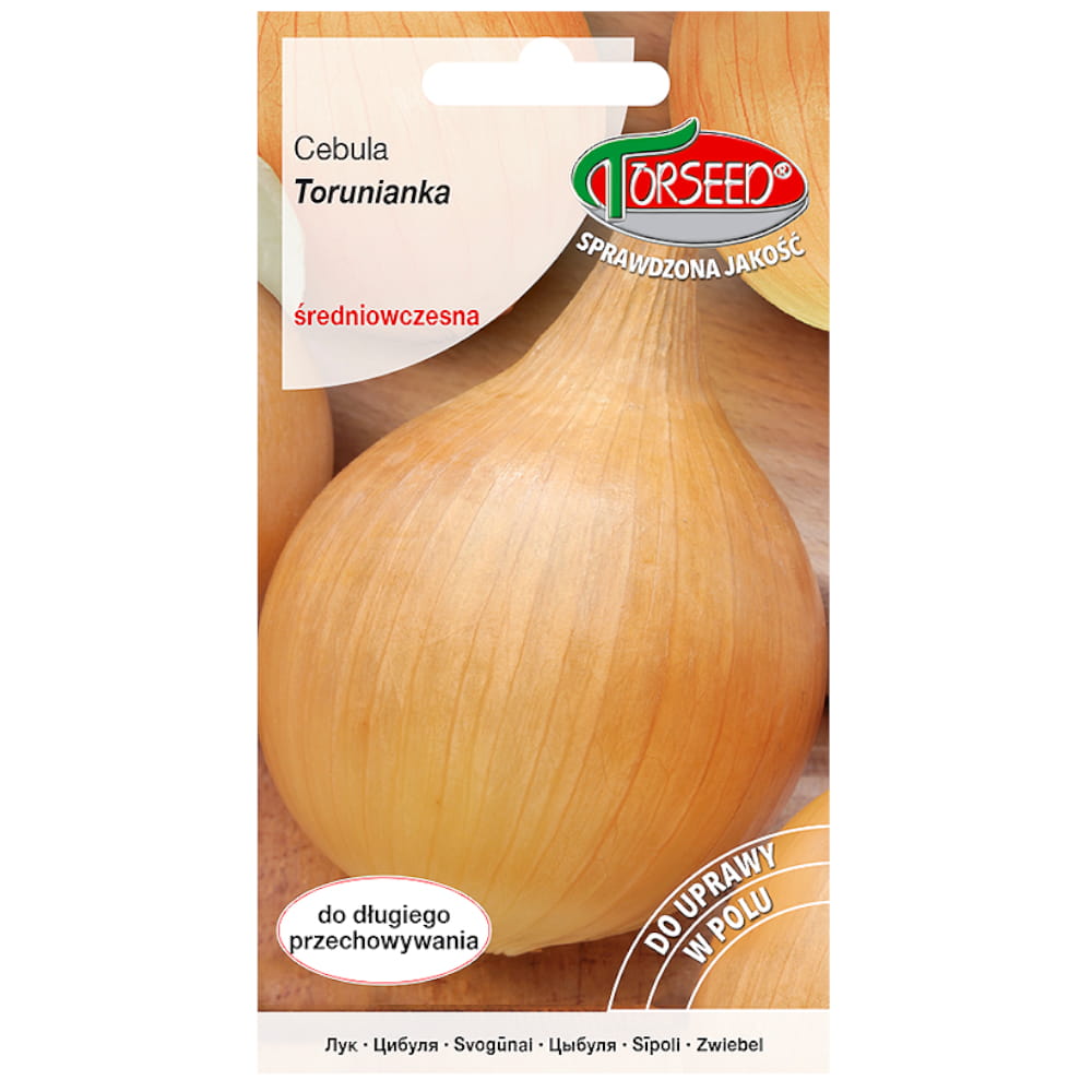 Cebula Torunianka nasiona 5g - TORSEED